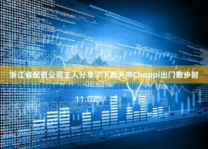 浙江省配资公司主人分享了下雨天带Choppi出门散步时