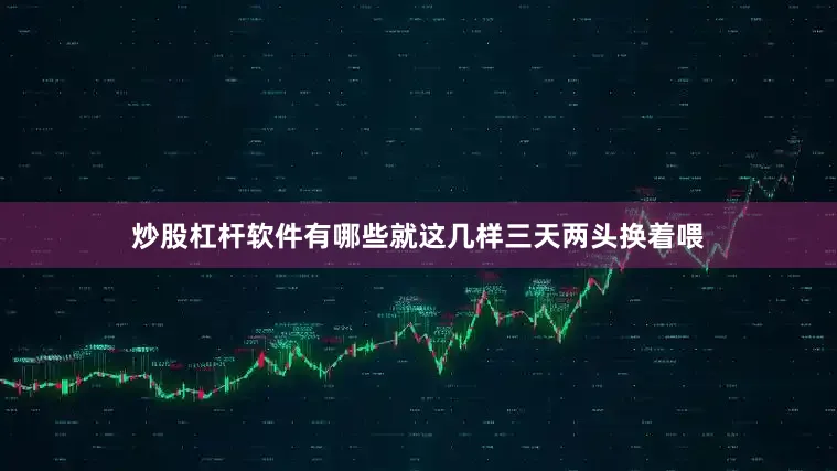 炒股杠杆软件有哪些就这几样三天两头换着喂