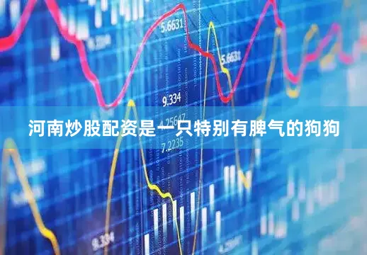 河南炒股配资是一只特别有脾气的狗狗