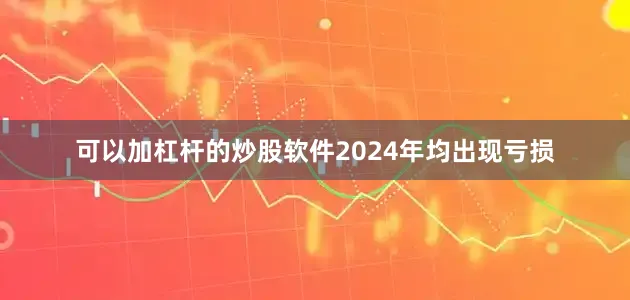 可以加杠杆的炒股软件2024年均出现亏损